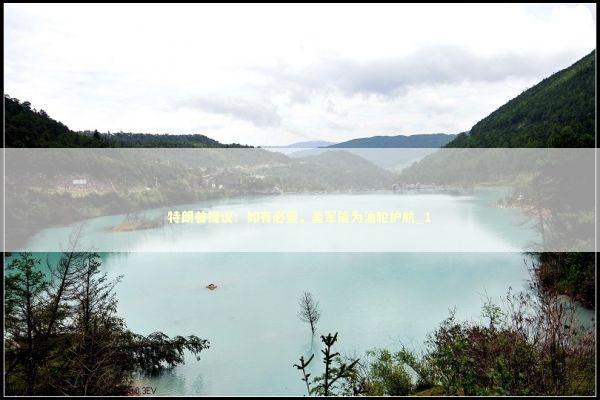 特朗普提议：如有必要，美军能为油轮护航_1 新闻