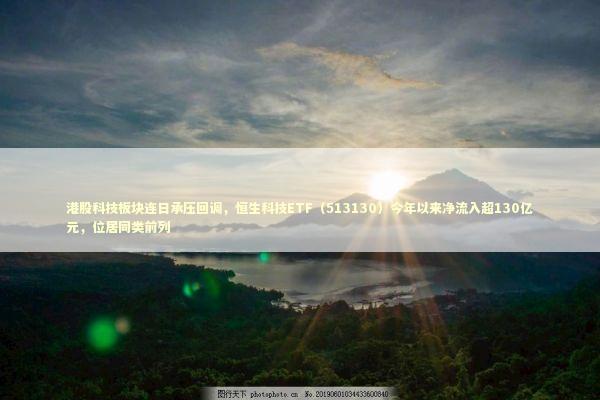 港股科技板块连日承压回调，恒生科技ETF（513130）今年以来净流入超130亿元，位居同类前列 新闻