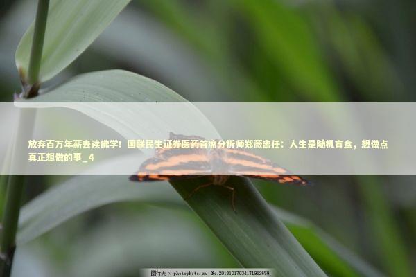 放弃百万年薪去读佛学！国联民生证券医药首席分析师郑薇离任：人生是随机盲盒，想做点真正想做的事_4 新闻