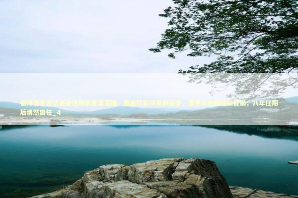 德邦基金百亿基金违规销售案落锤，遭重罚暂停发新基金，董事长左畅疑似背锅，八年任期后悄然离任_4 新闻