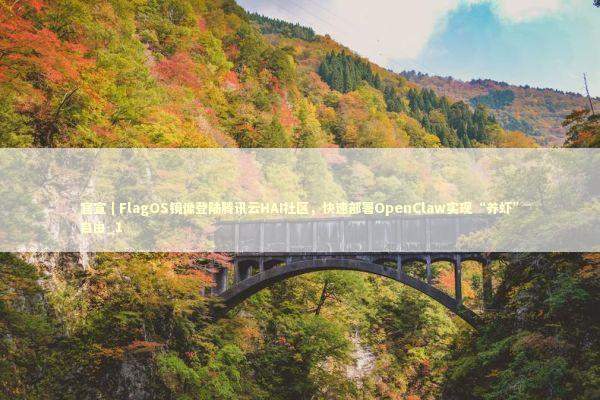 官宣｜FlagOS镜像登陆腾讯云HAI社区，快速部署OpenClaw实现“养虾”自由_1 新闻