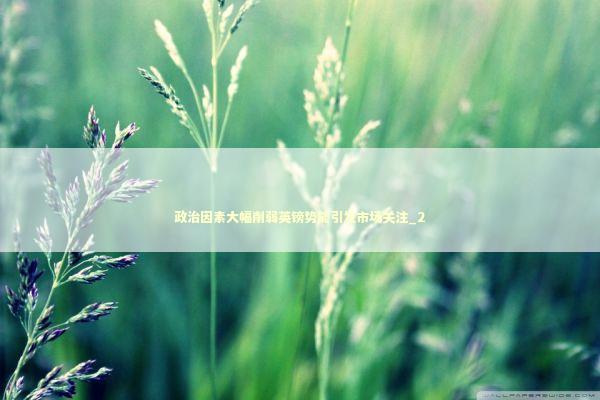 政治因素大幅削弱英镑势能引发市场关注_2 新闻