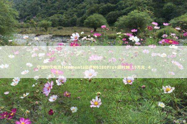 宁德时代电池+Momenta日产N6180Pro+限时11.19万元_4 新闻