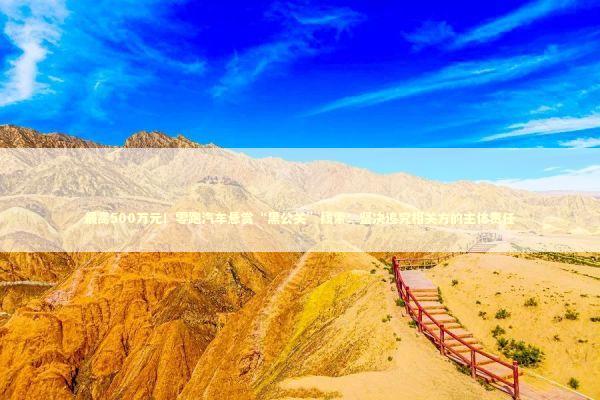 最高500万元！零跑汽车悬赏“黑公关”线索：坚决追究相关方的主体责任 新闻