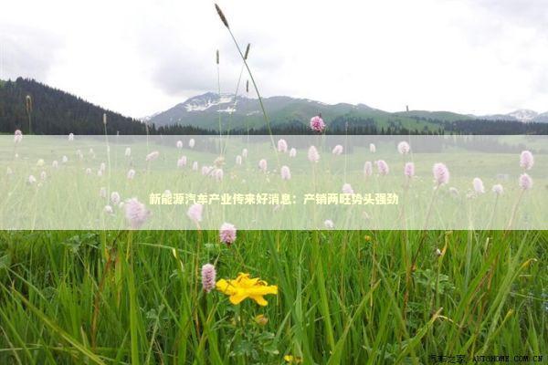 新能源汽车产业传来好消息：产销两旺势头强劲 新闻