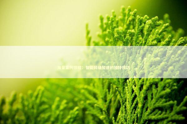 海量案例惊叹：智能网络加速的独特技巧 新闻