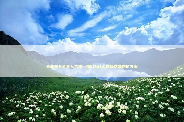 企业安全负责人亲述：我们为什么选择这套防护方案 企业服务