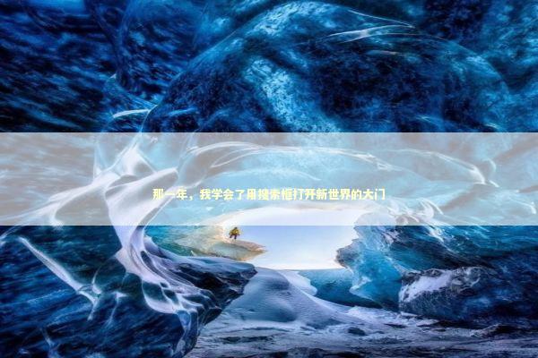 那一年，我学会了用搜索框打开新世界的大门